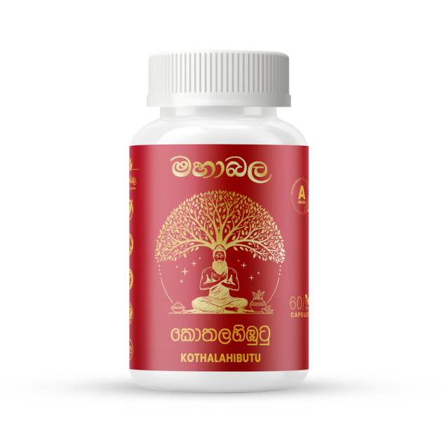 Kothalahibutu - කොතලහිඹුටු (Kothalahibutu)
